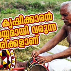 പാട്ടും വയലും | കെ. കുമാരന്‍